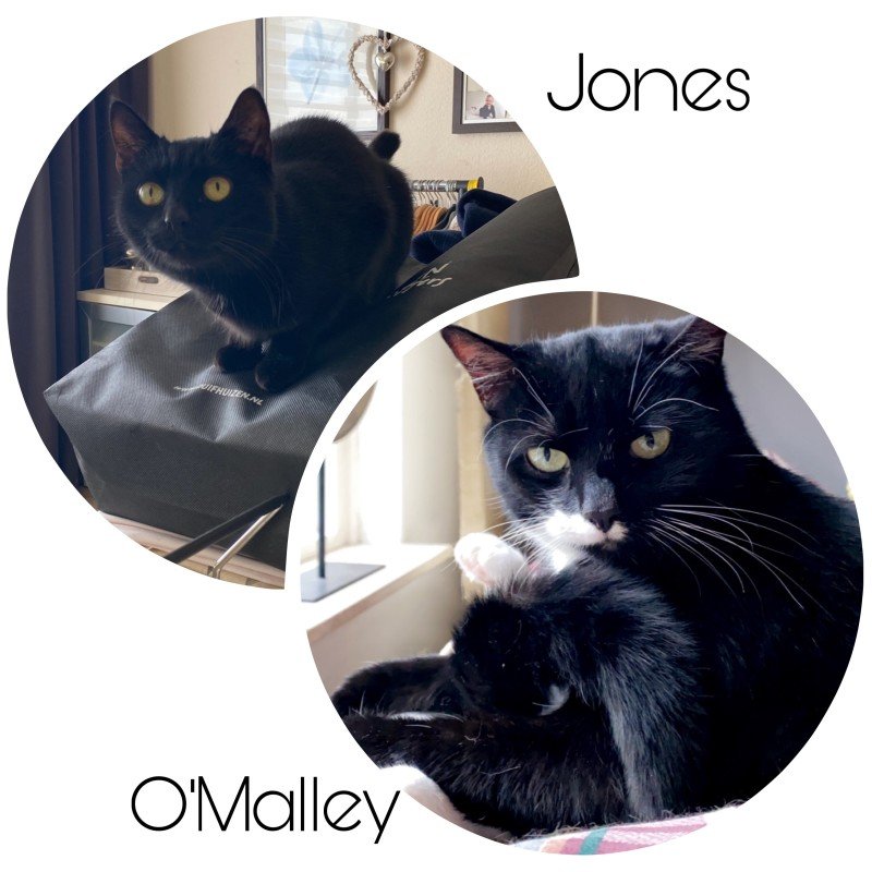 Malley