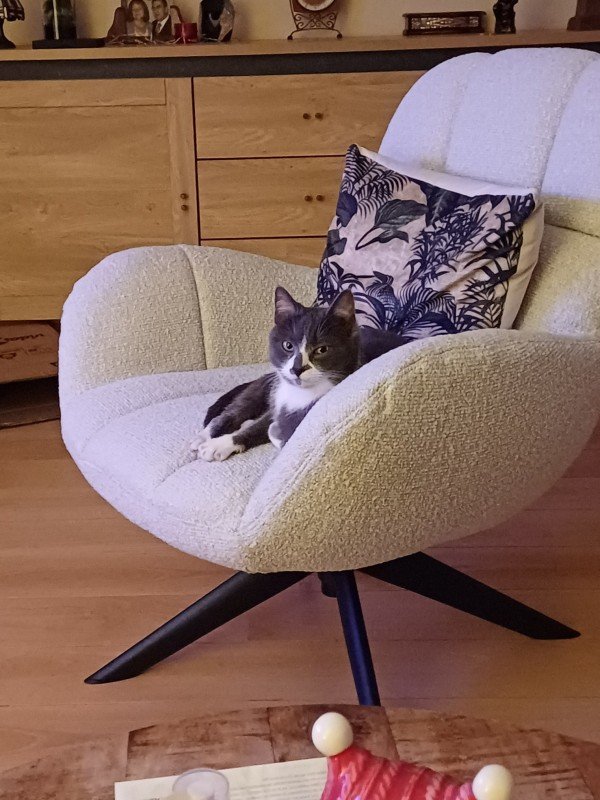 Yuki