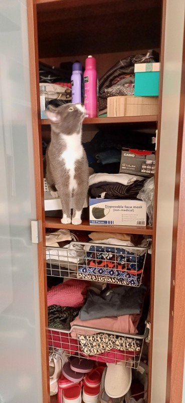 Yuki