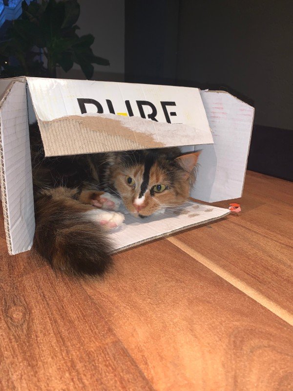 Pip