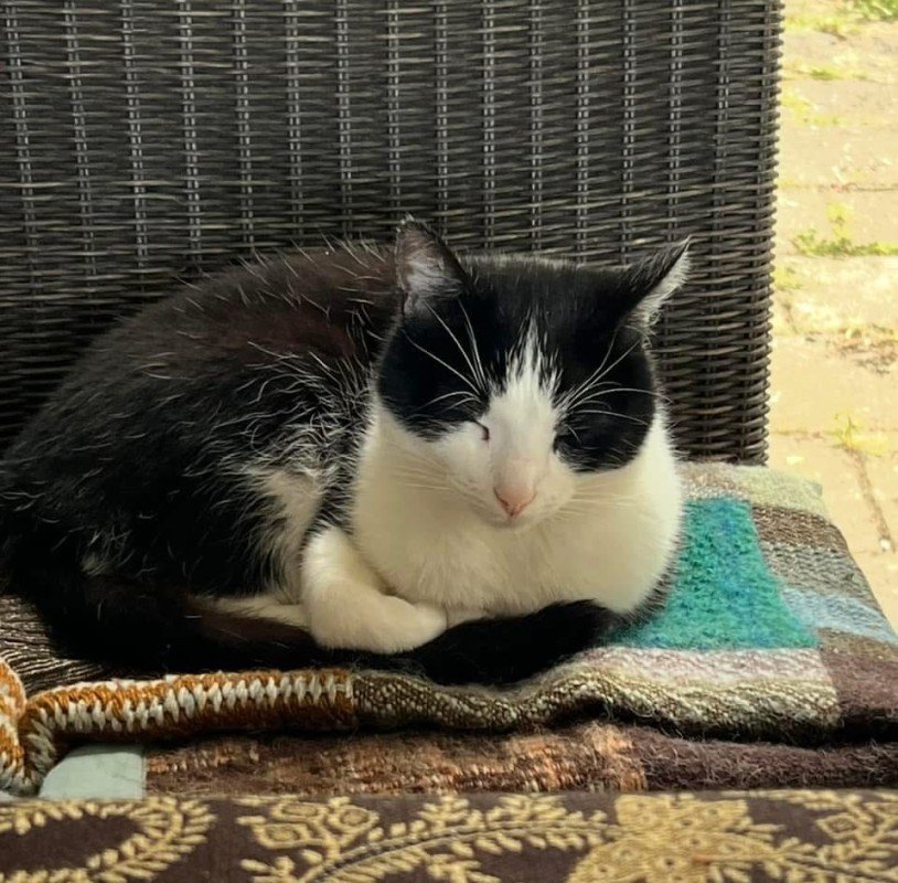 Raffie