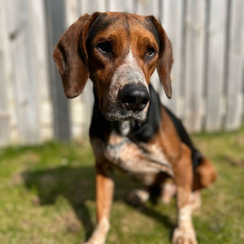 Teo