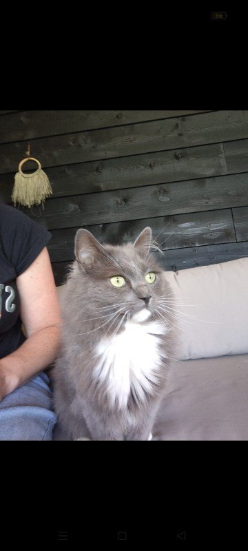 Willem