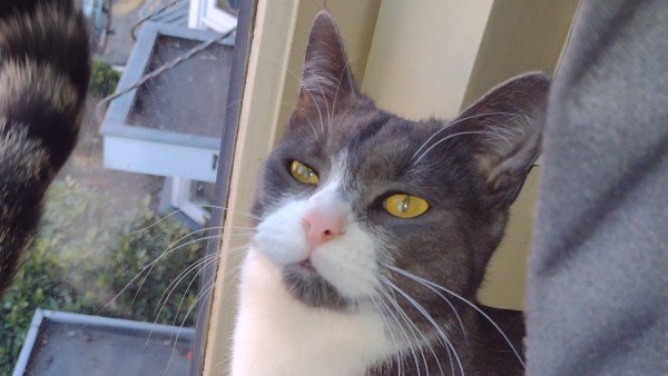 Rocky