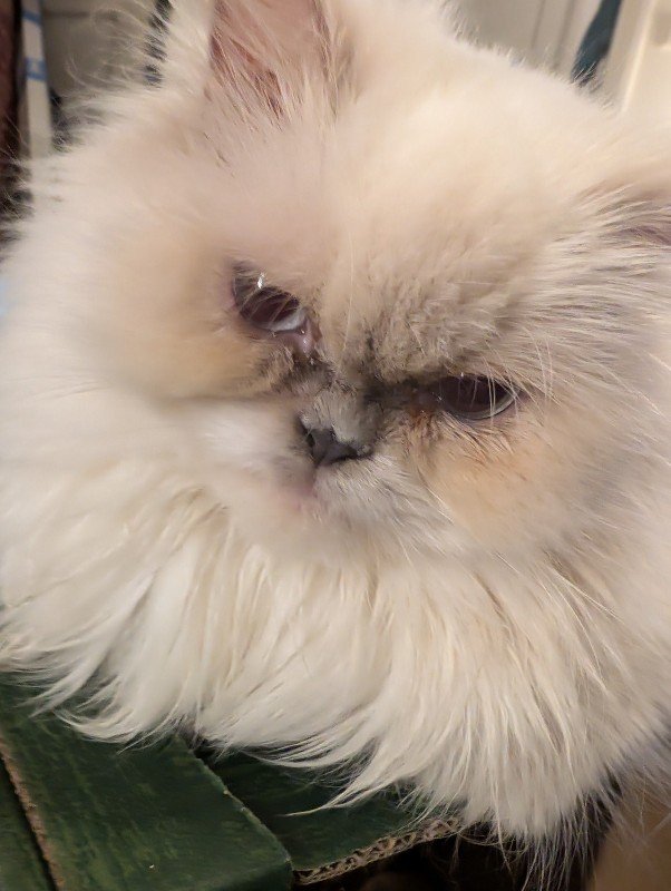 Mizu