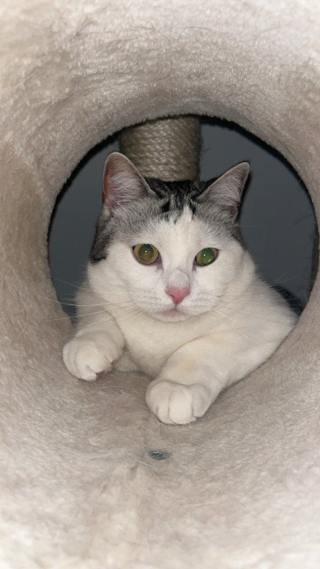 Mia