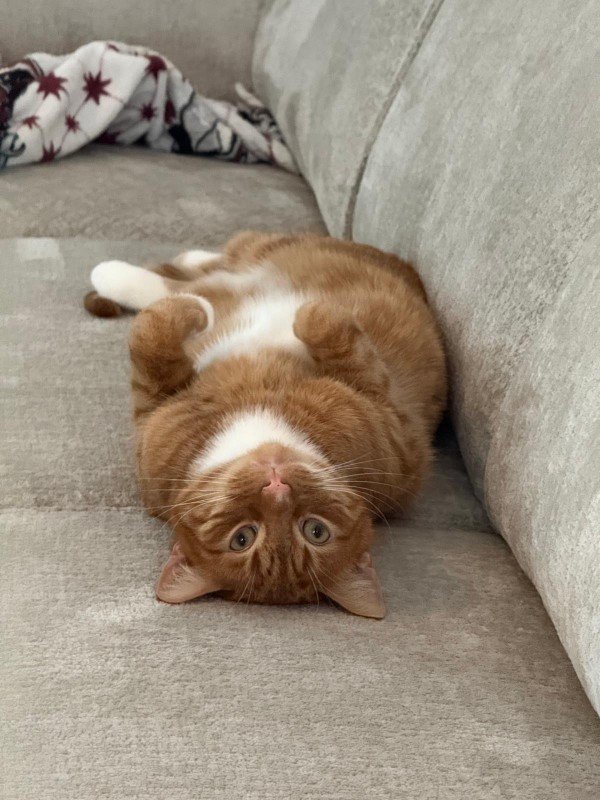 Max