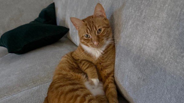 Max