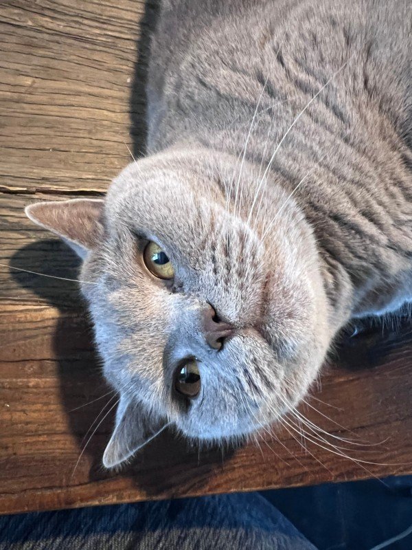 Billy