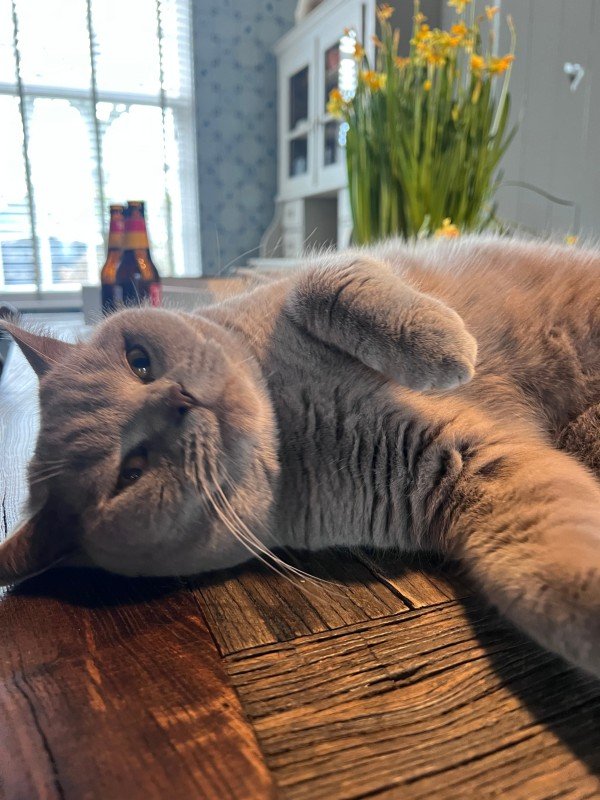 Billy