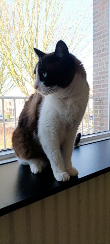 Tito