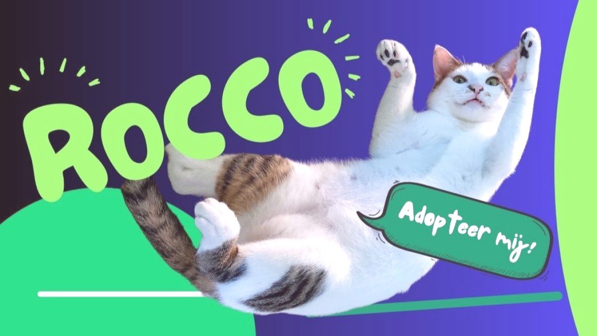 Rocco