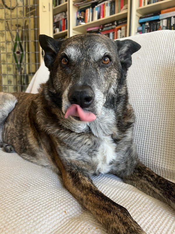Beau