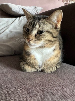Millie