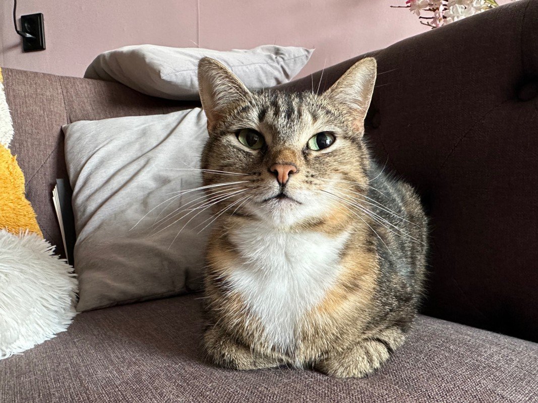 Millie