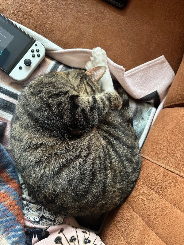 Millie