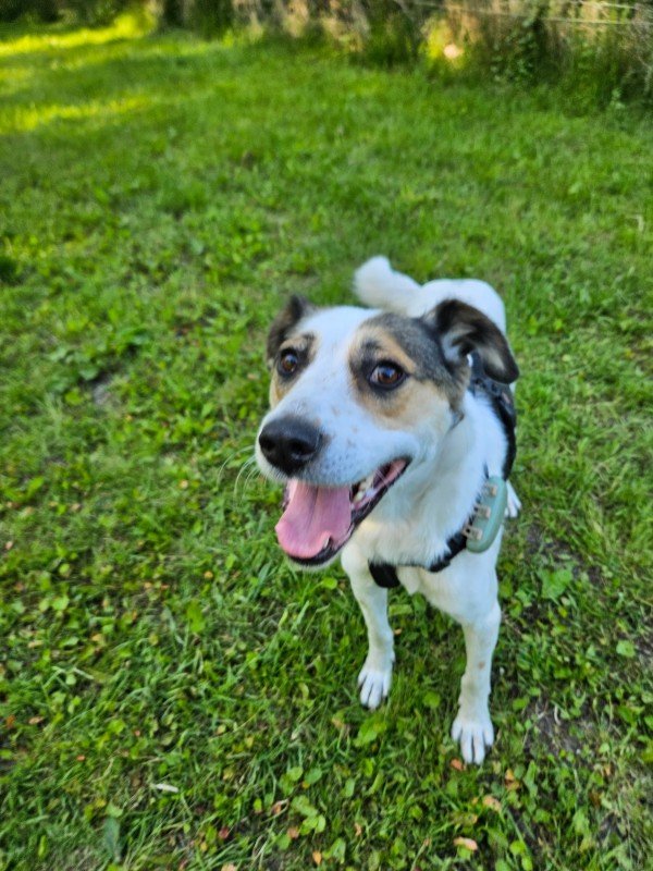 Luca