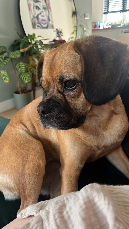 Coco