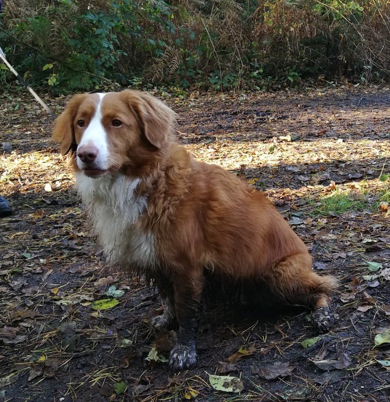 Luca
