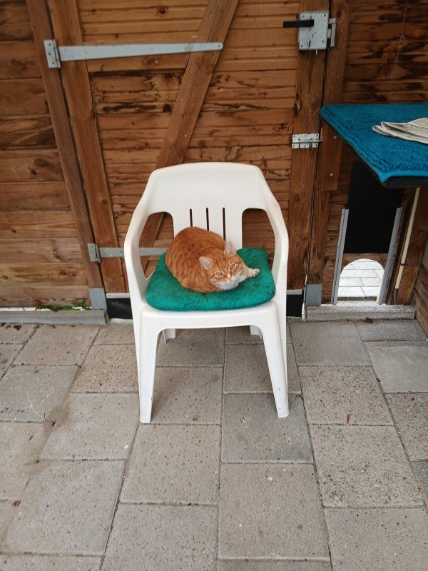 Vriend