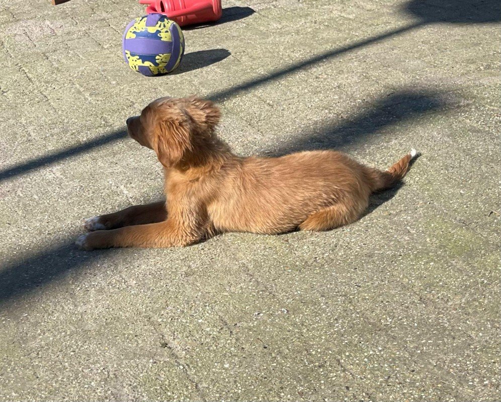 Haribo