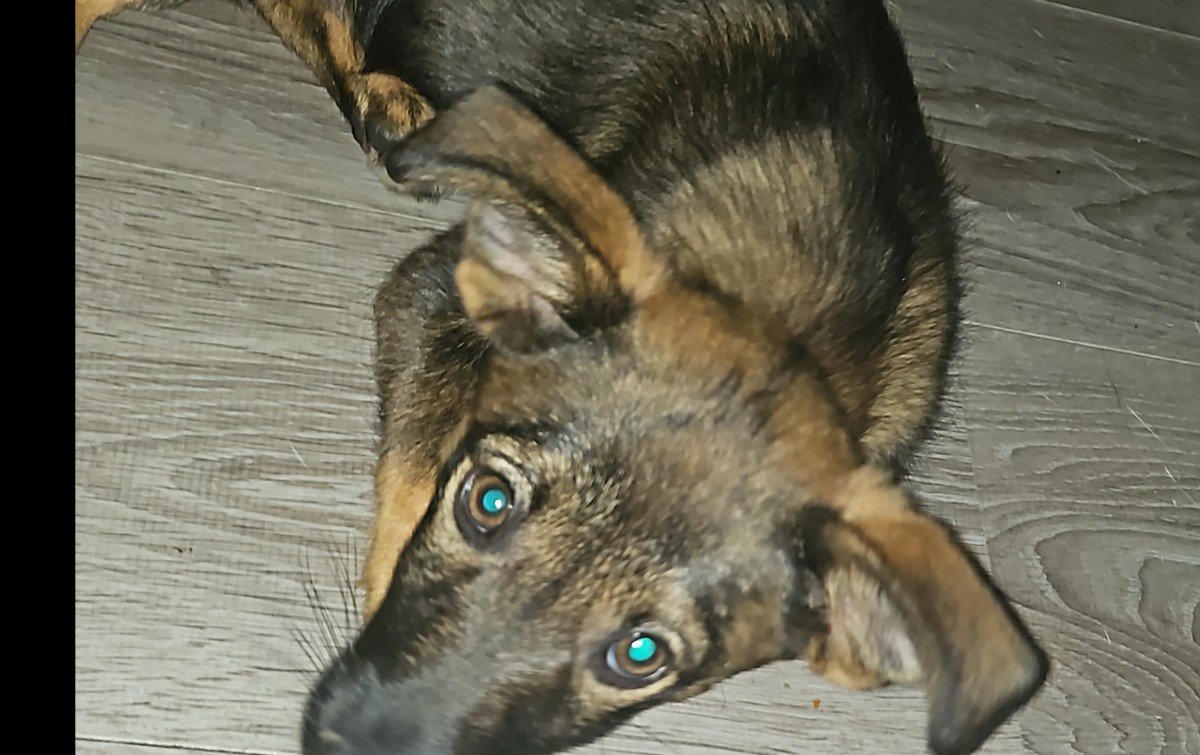 Missy