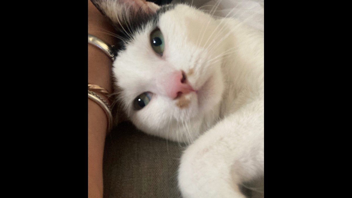 Pebbles