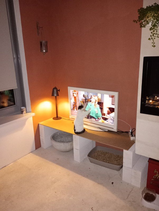 Beertje
