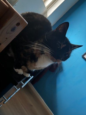 Mercury