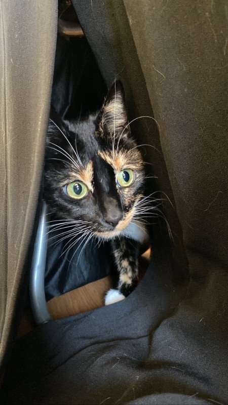 Mercury
