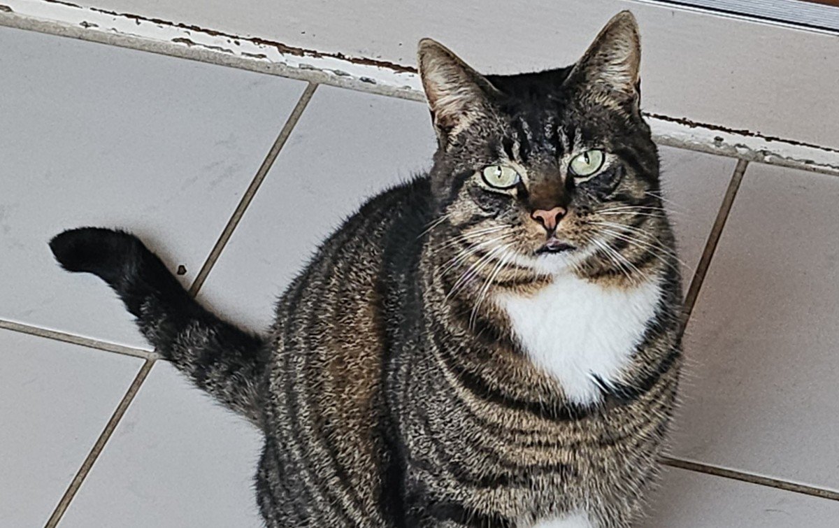 Boris