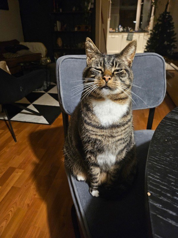 Boris