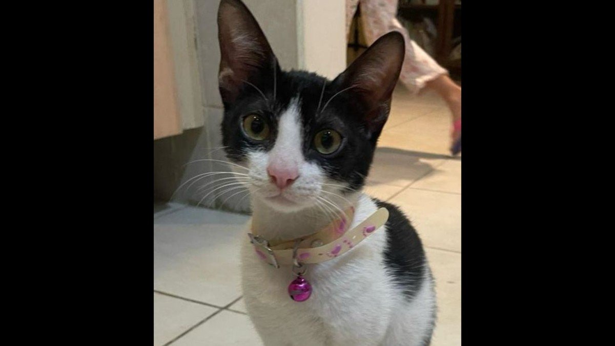 Cleo