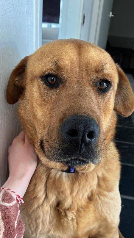Milo