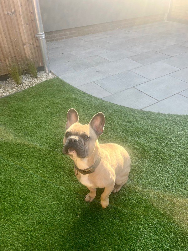 Benno