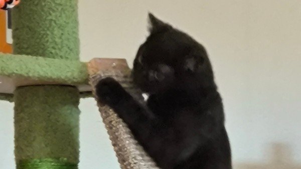 Zina