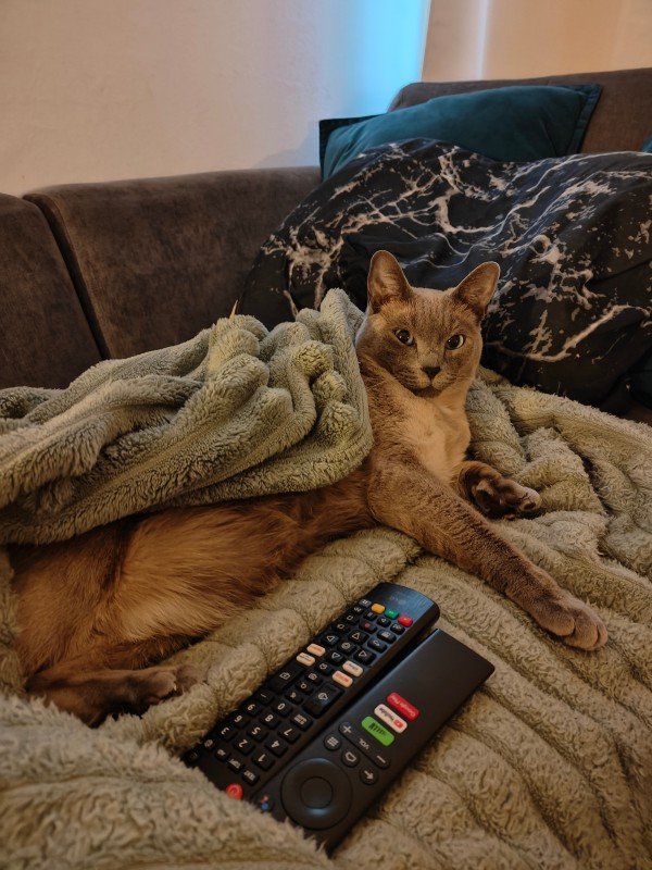 Oscar