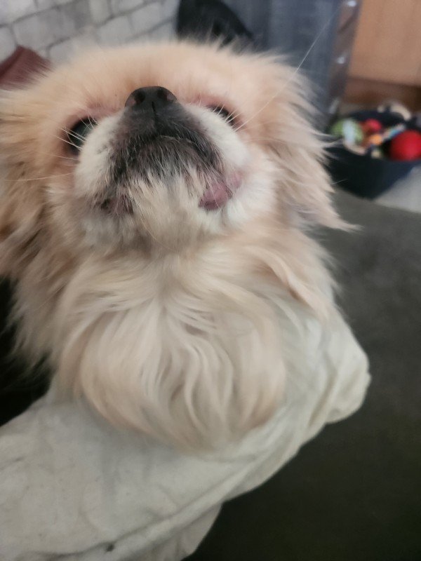 Abby