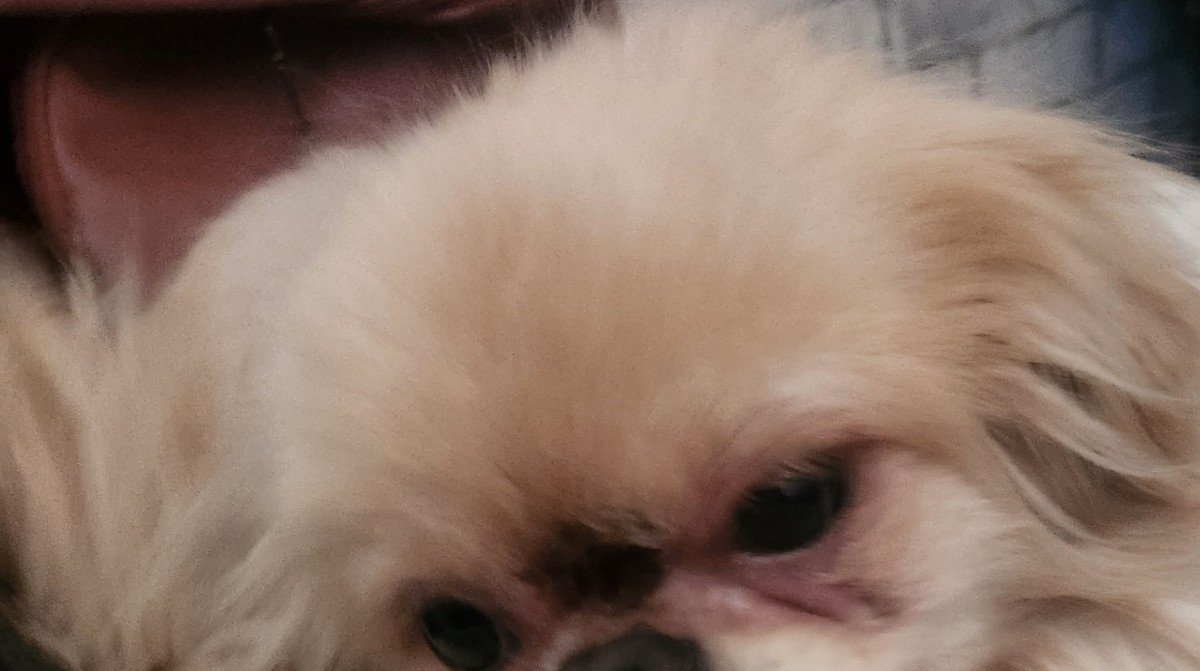 Abby