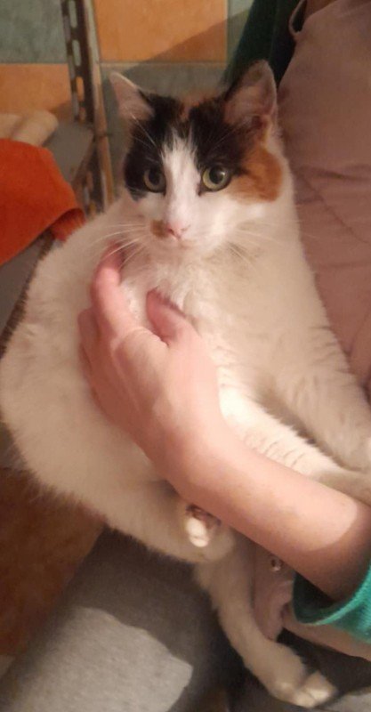Missy