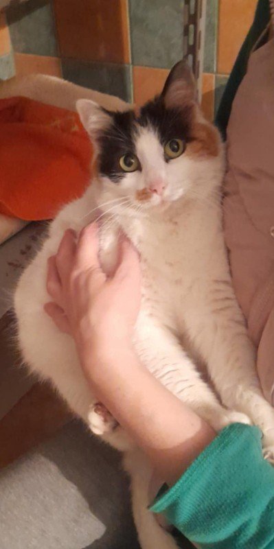 Missy