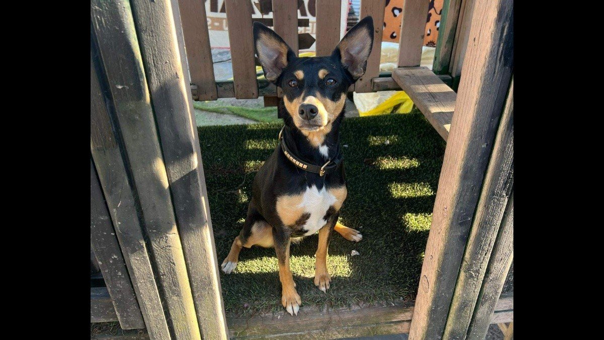 Rosita