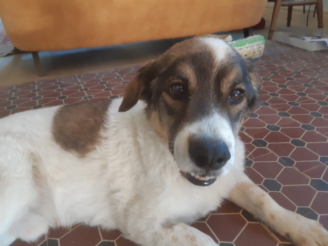 Jacky