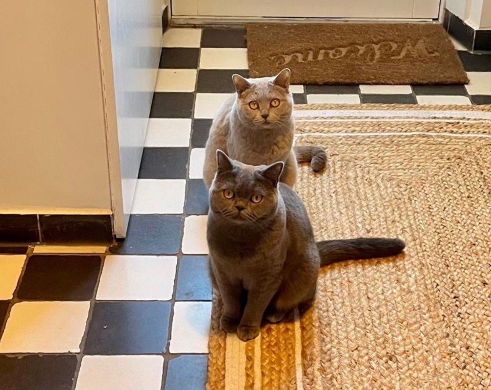 Yumos & Mia