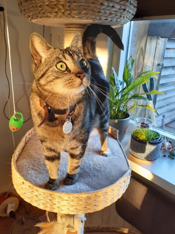 Luna