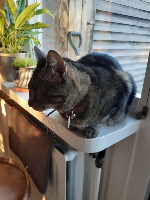 Luna