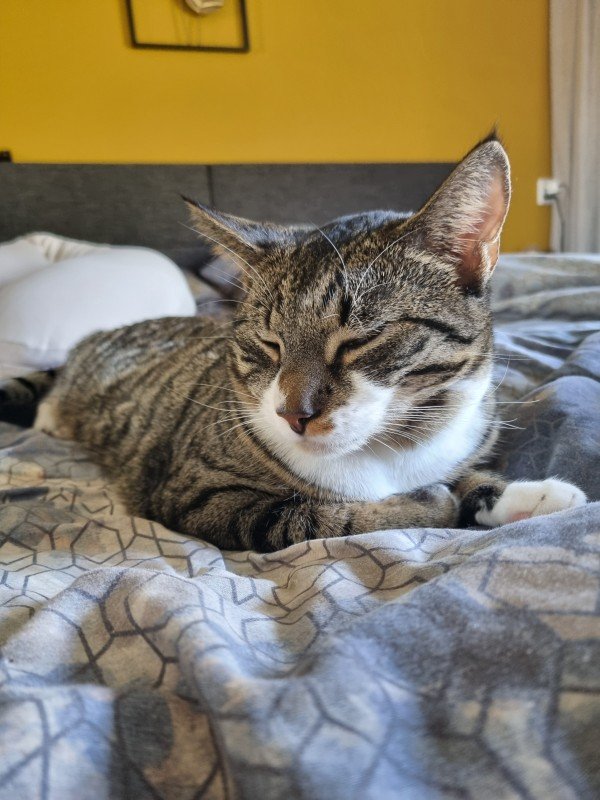 Pablo