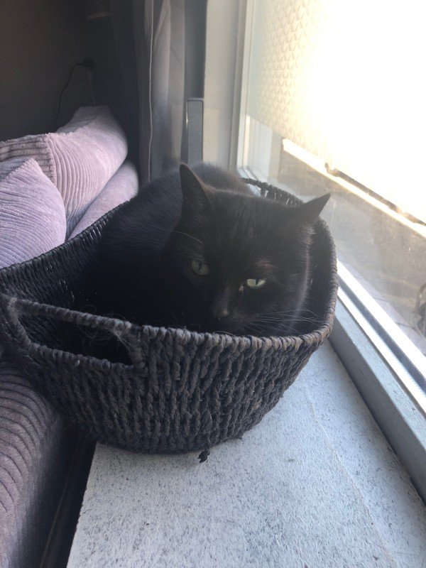 MIMI