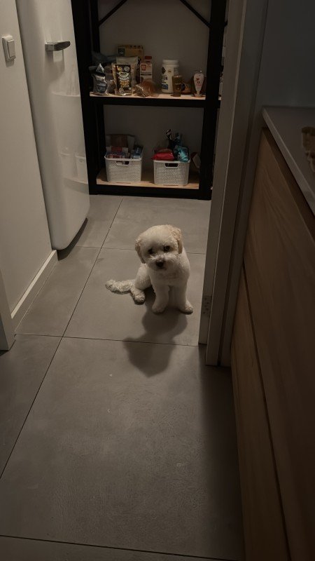 Bentley