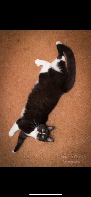 *SPOED* Macy